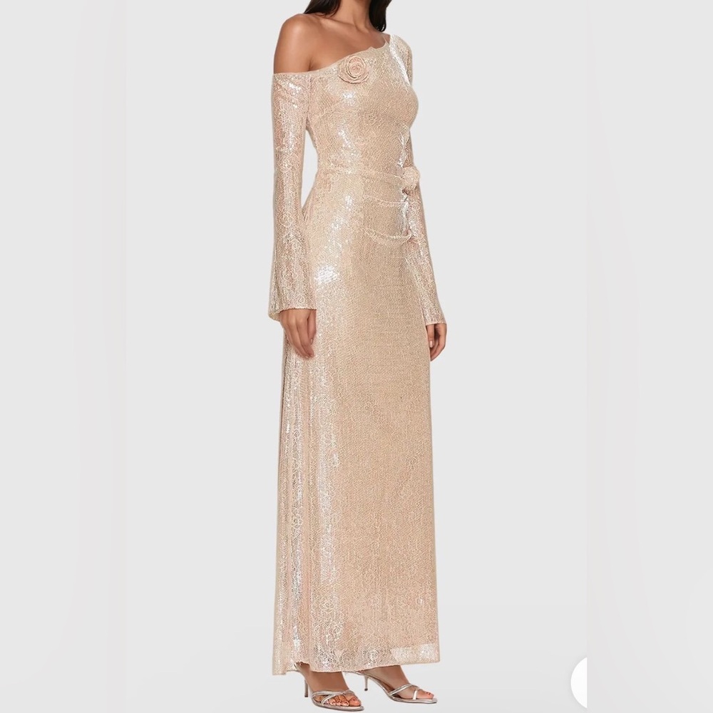 LPA Aniella Sequin Lace Flower Maxi Gown size M NWT